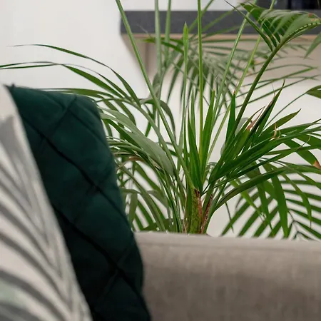 Legionow Elegant With Office, Balcony & Parking By Renters Apartment Lodz (Lodz)